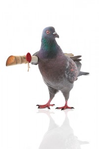 eCarrier pigeon from Washington DC