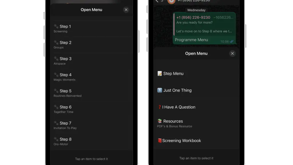 WhatsApp API menus
